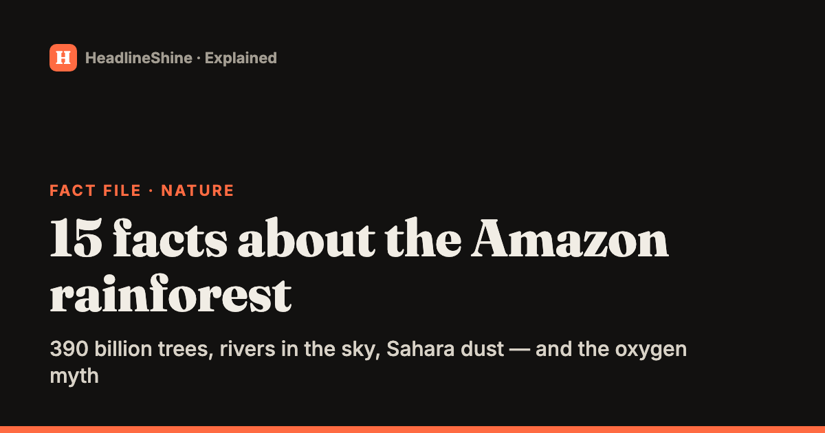 15 surprising facts about the Amazon rainforest (and one big myth)