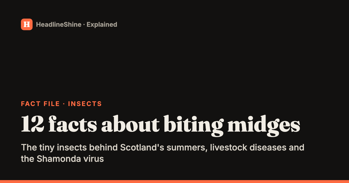 12 surprising facts about biting midges, the tiny insects behind Shamonda