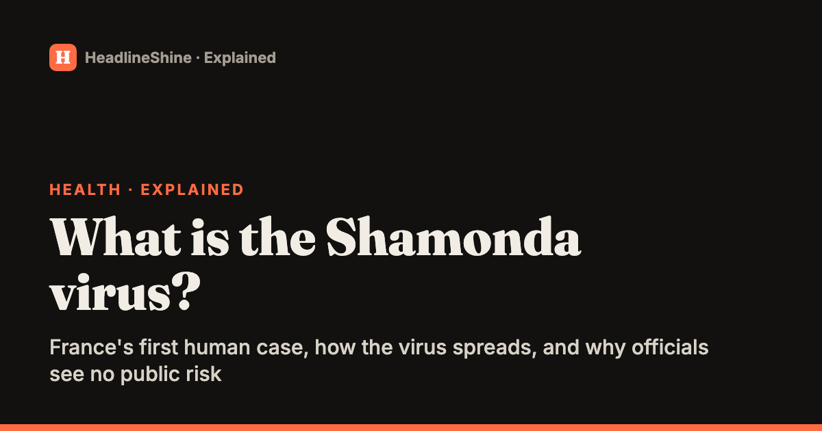 What is the Shamonda virus? France's first human case explained